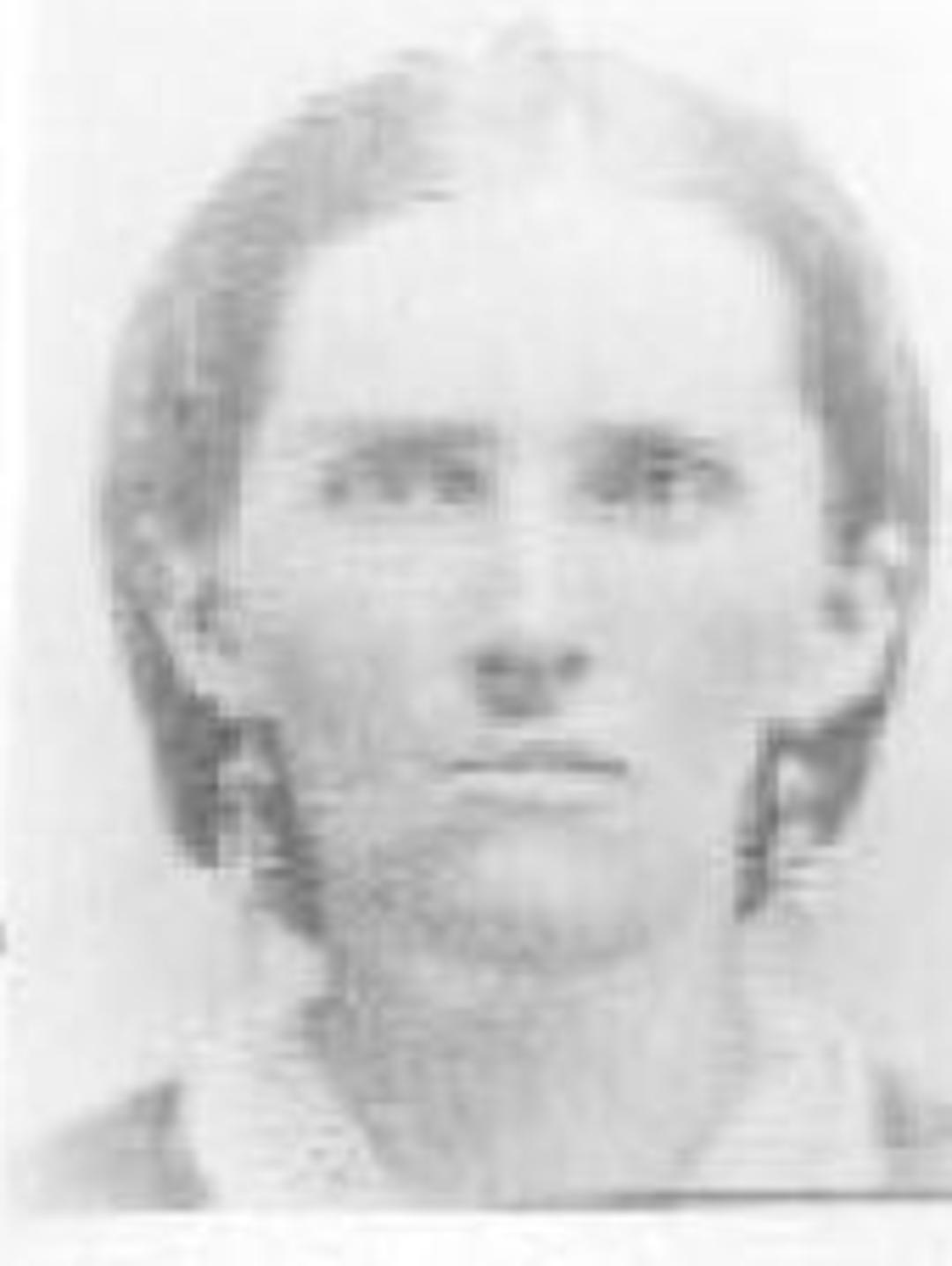 Mary Jane Cook (1844 - 1895) Profile